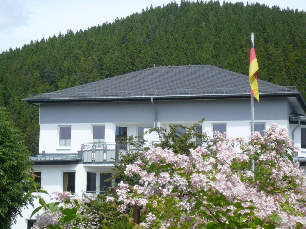 Fewo Penthaus-Blick Willingen  Exteriör bild