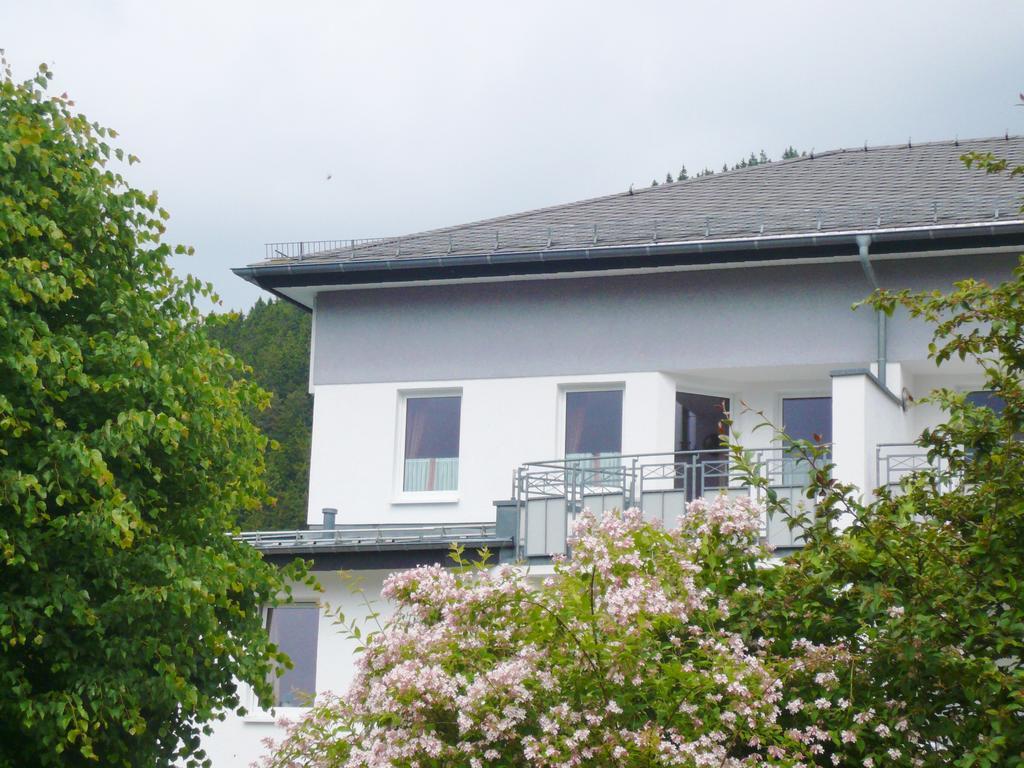 Fewo Penthaus-Blick Willingen  Exteriör bild